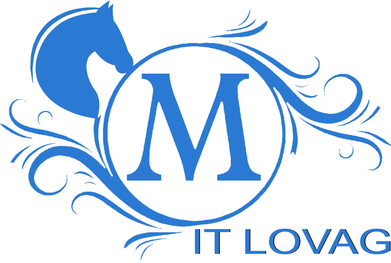 Tovább címerek kialakulása