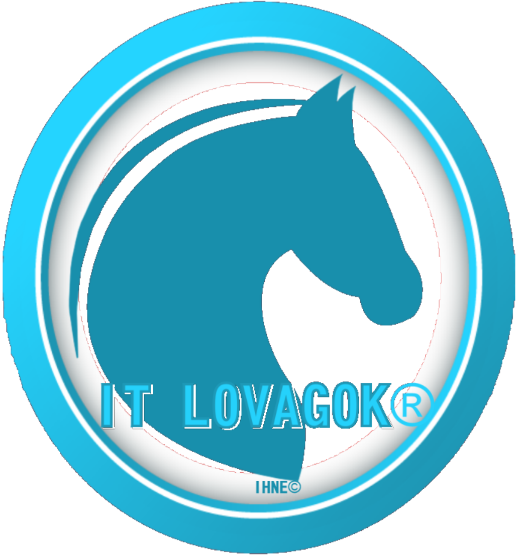 IT Lovagok